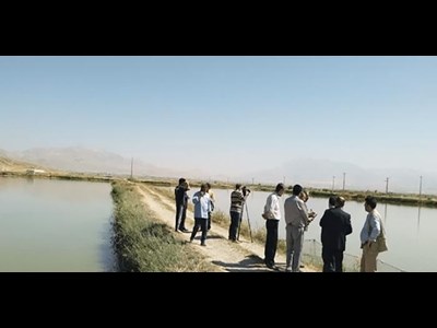 تولید ۲ هزار تنماهی گرمابی در روستای تنور در دورود