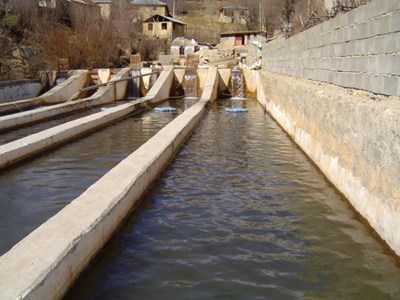 توسعه آبزی‌پروری در سمنان با بهره‌گیری از ظرفیت استخرهای کشاورزی