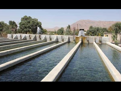 برنامههای توسعه ای شیلات با حضور پیشکسوتان و تولیدکنندگان صاحب نظر شیلاتی
