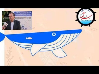 آغاز مسیریابی اقتصاد شیلات ایران در جزیره قشم!