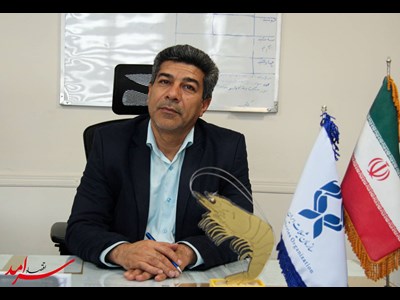 امسال 265 مزرعه کشت میگو در هرمزگان فعال شد