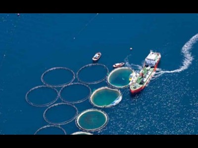 راهبردهای توسعه اکوسیستم نوآوری دریایی