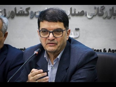 تأکید قائم‌مقام وزیر صمت بر تسریع در ترخیص کالا و پیگیری واردات بدون انتقال ارز