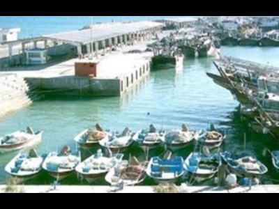 ضرورت تغییر نقش دولت در بنادر ماهیگیری