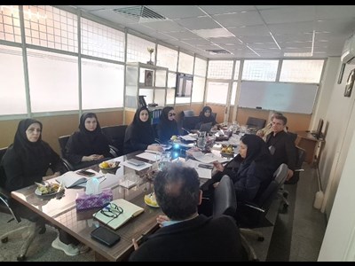 تدوین سند بهره وری شاخص های اختصاصی سازمان شیلات ایران