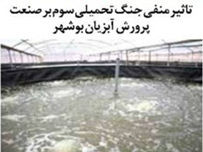 تاثیر منفی جنگ تحمیلی سوم بر صنعت پرورش آبزیان بوشهر