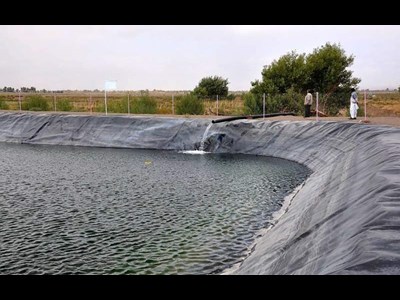 گامی نو در توسعه پرورش ماهی