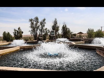 تجهیزات مکانیزه، کلید افزایش تولید در مزارع آبزیپروری