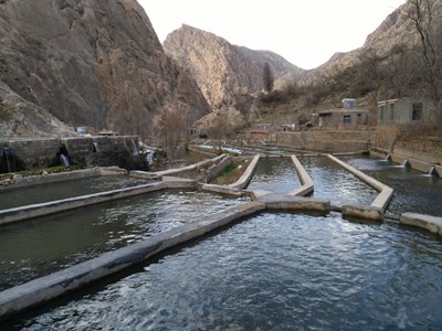ایجاد ۱۴۰۰ شغل با پرورش ماهی در ریجاب