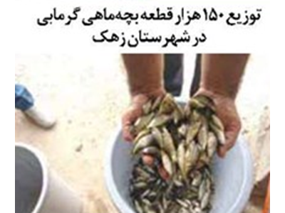 توزیع ۱۵۰ هزار قطعه بچه‌ماهی گرمابی در شهرستان زهک