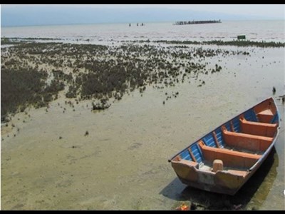 آخرین وضعیت احیای خلیج گرگان/ جلوگیری از تشدید خشک‌شدگی، گام اول