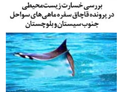 بررسی خسارت زیست‌محیطی در پرونده قاچاق سفره‌ ماهی‌های سواحل جنوب سیستان و بلوچستان