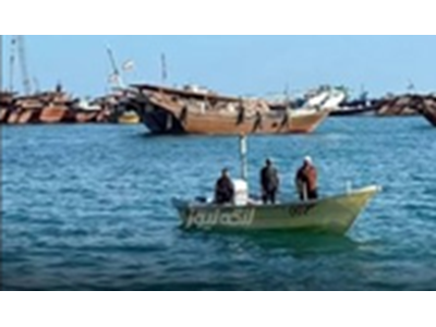 احتمال عدم اجرای دریابست در صید میگوی خلیج فارس