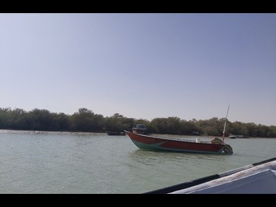 توقیف و کشف ۱۲۰۰ کیلو ماهی در عملیات مشترک گشت دریایی گواتر