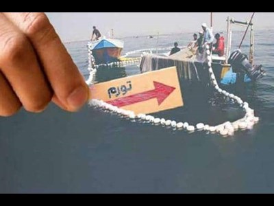 شیلات در تور تورم