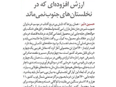 ارزش افزوده‌ای که در نخلستان‌های جنوب نمی‌ماند