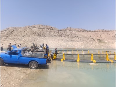 آغاز عملیات اجرایی پرورش ماهی در قفس در دریاچه سد مارون بهبهان