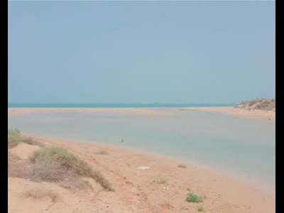 توسعه صنعت پرورش صدف در سواحل شهرستان تنگستان