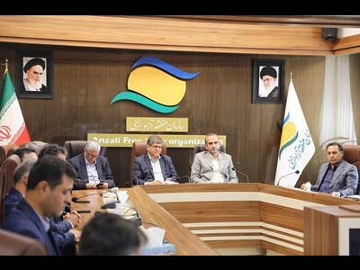 متعادل‌سازی تعرفه‌ها برای جذب بارهای بیشتر به سمت ریل