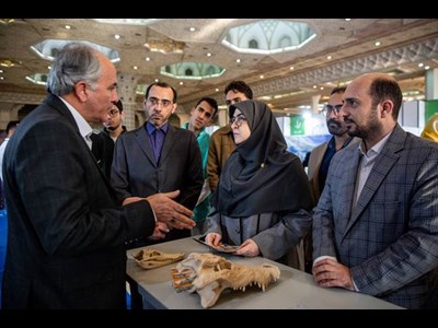 ضرورت گسترش نقش شرکت‌های دانش‌بنیان در اقتصاد دریامحور