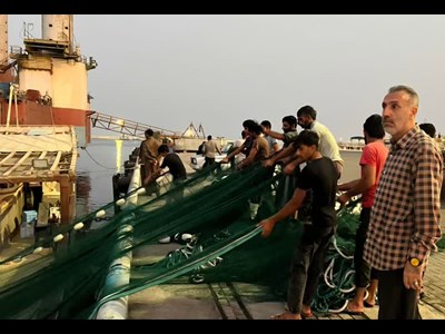 توقیف دو شناور غیرمجاز در کیش؛ کشف ۶۰۰ کیلو آبزی