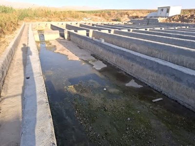 مزرعه پرورش ماهی قره‌بلاغ سرپل‌ذهاب آماده ورود به چرخه تولید آبزیان