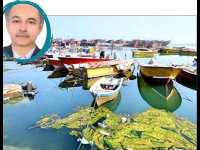 بهرهبرداری بیش از حد دریایی در تقابل با حفظ اکوسیستم