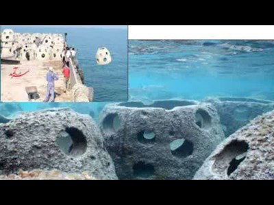 سرمایه‌گذاری پنهان برای زیستگاه‌های مصنوعی آبزیان