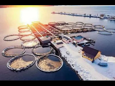 خطر جاماندن از تامین بازارهای غذایی جهان برای ایران