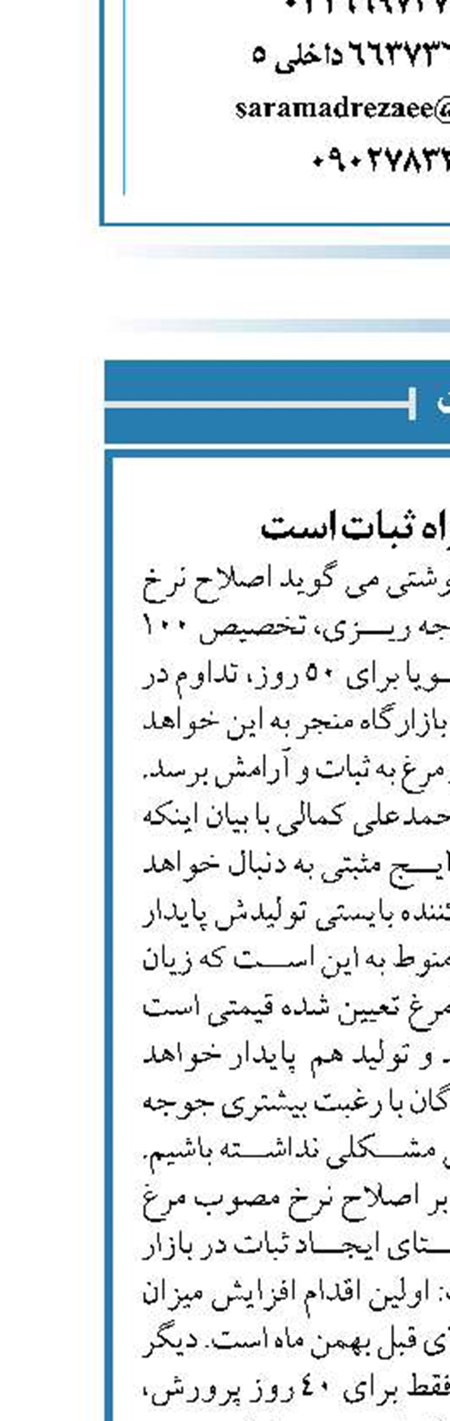 بازار مرغ در راه ثبات است