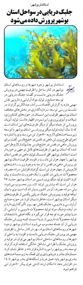 جلبک دریایی در سواحل استان بوشهر پرورش داده میشود