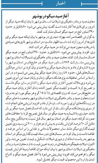 آغازصید میگو در بوشهر