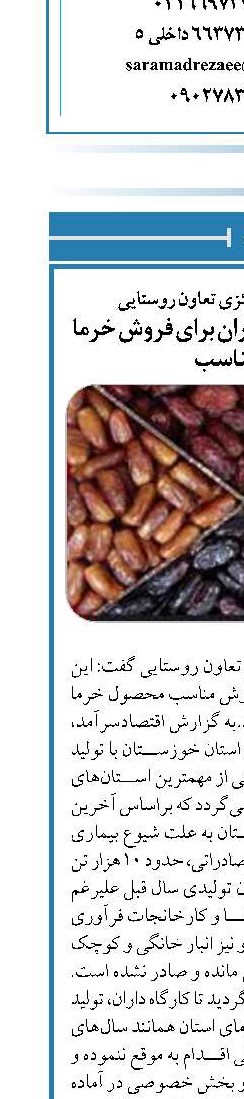 حمایت دولت از نخلداران برای فروش خرما با نرخ مناسب 