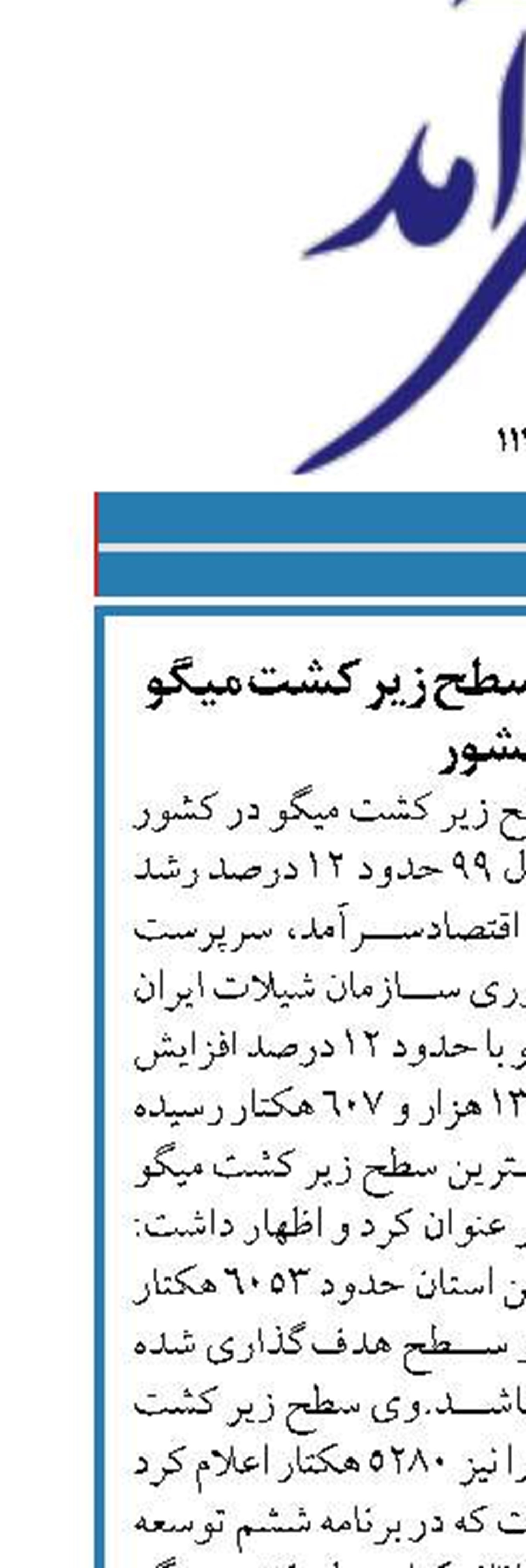 افزایش ۱۲ درصدی سطح زیر کشت میگو  در کشور