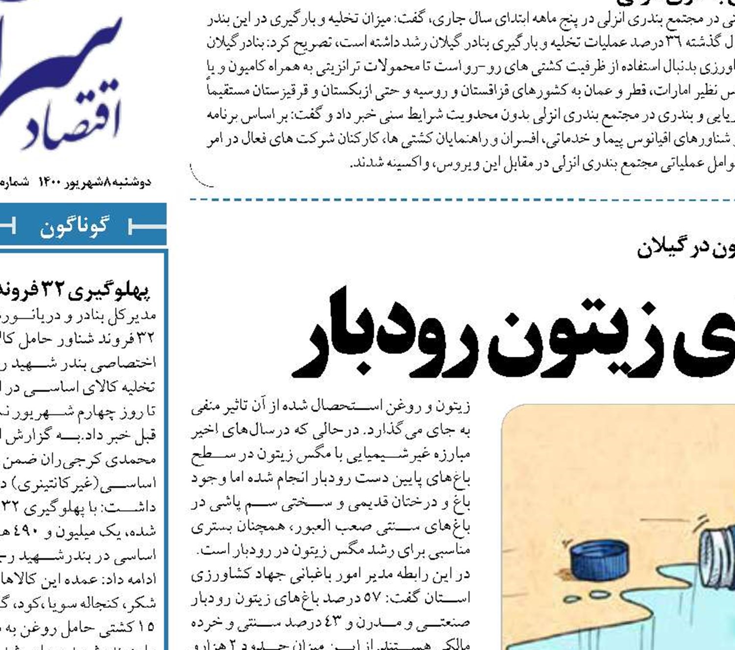 زخم کم آبی بر باغ‌های زیتون رودبار