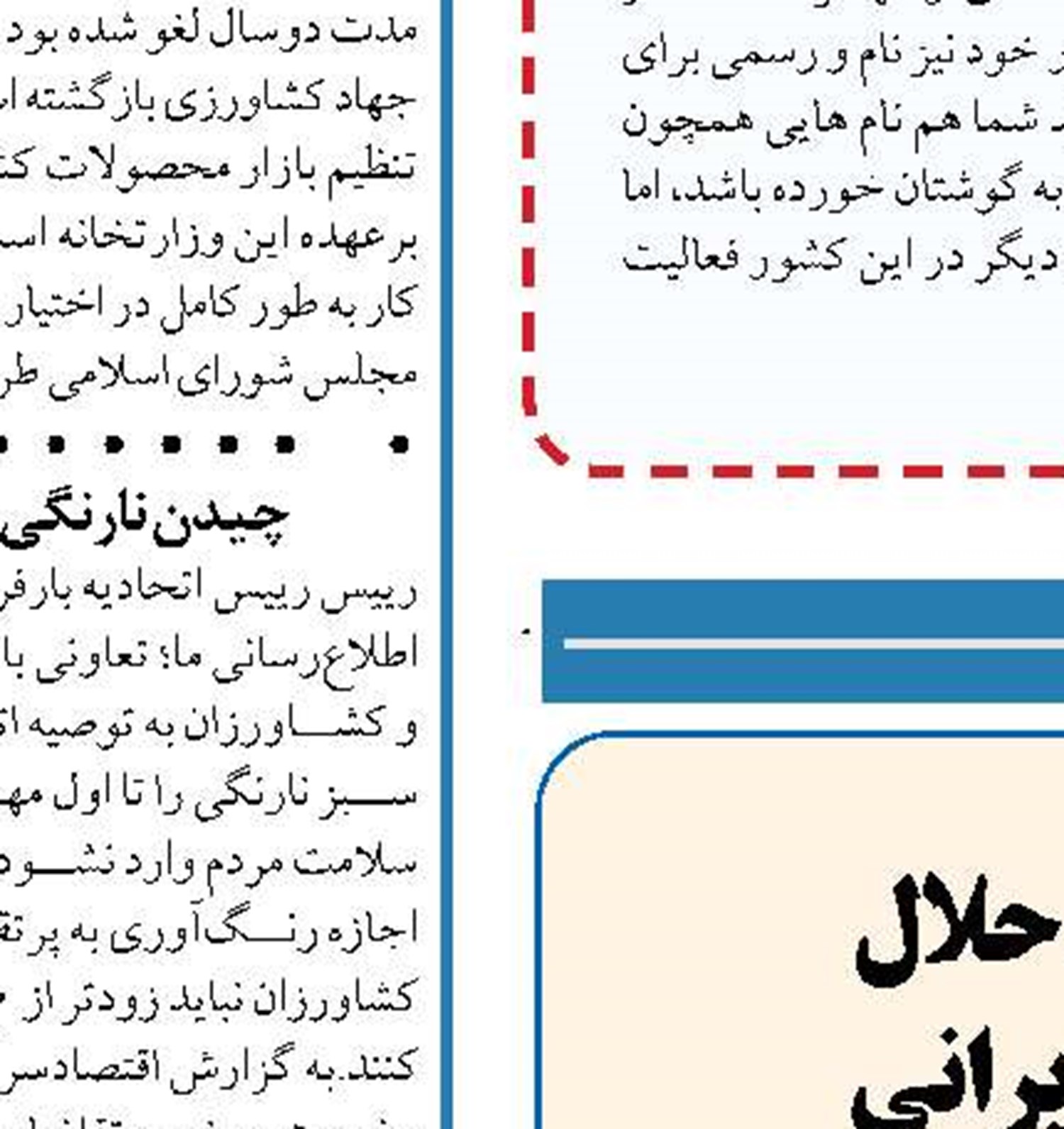 3تصمیم جدید دولت برای کاهش قیمت جوجه یک روزه 