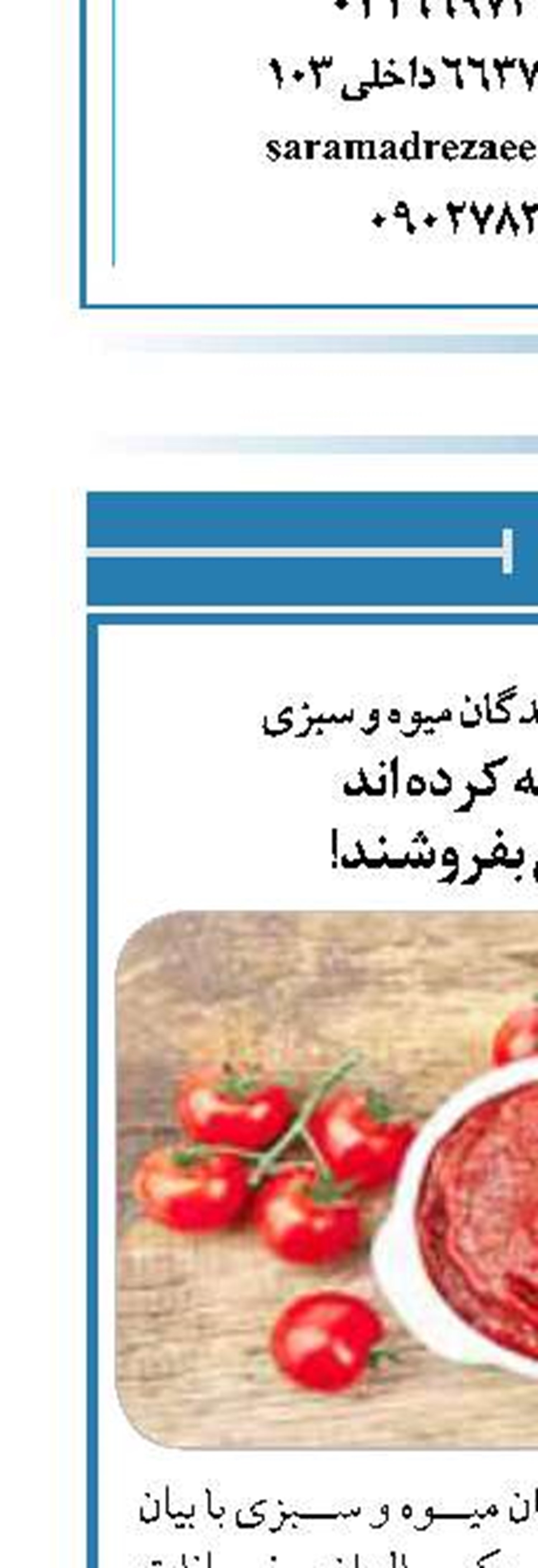 رئیس اتحادیه فروشندگان میوه و سبزی گوجه را بهانه کرده اند  تا رب را گران بفروشند!