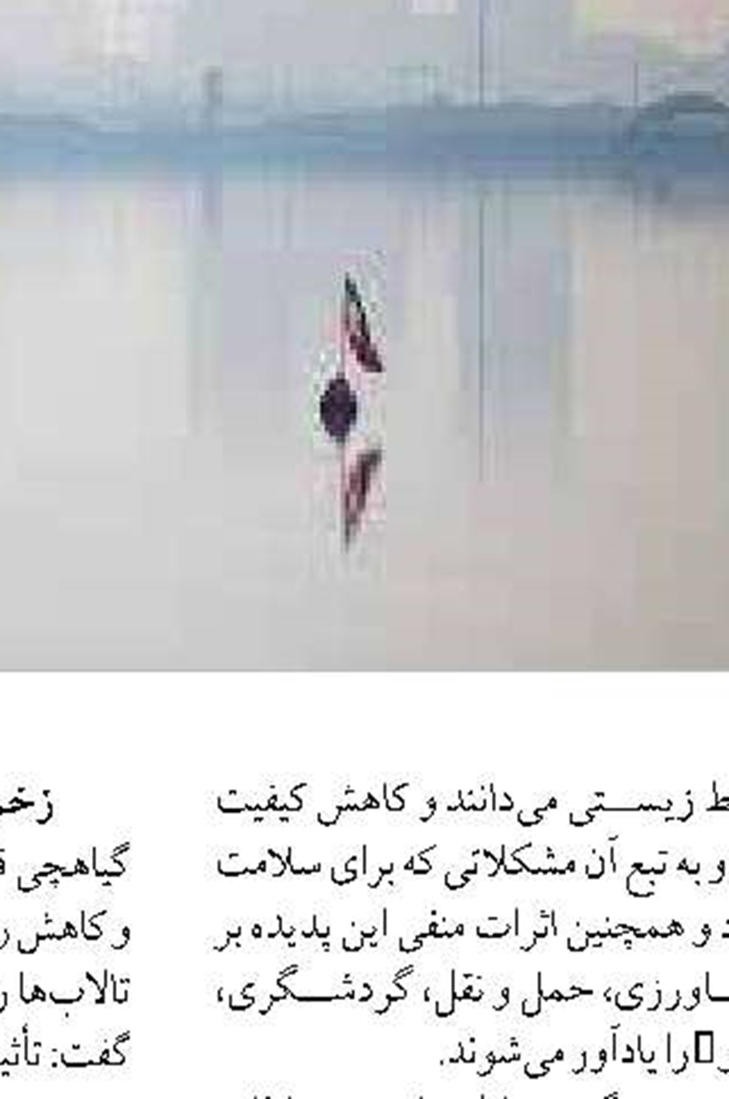 هیچ شناور صیادی با مالکیت خارجی برای فعالیت صیادی در کشور وجود ندارد