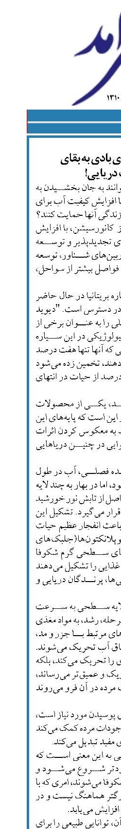 کمک توربین‌های بادی به بقای  موجودات دریایی!