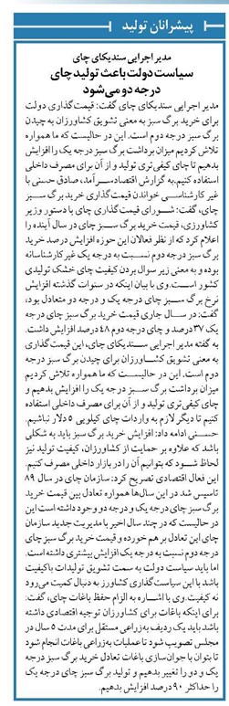 سیاست دولت باعث تولید چای درجه دو میشود