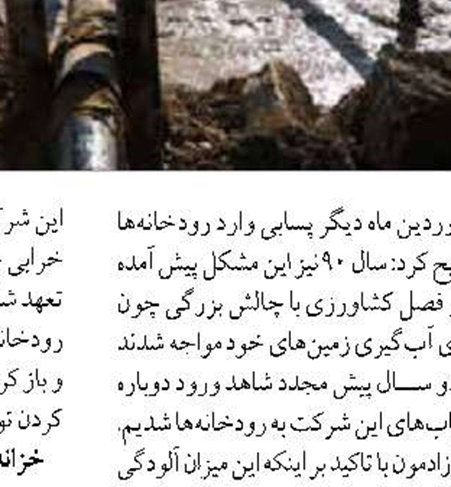 صید ۱۶۸۰ میلیاردی در سبد صیادان گیلانی