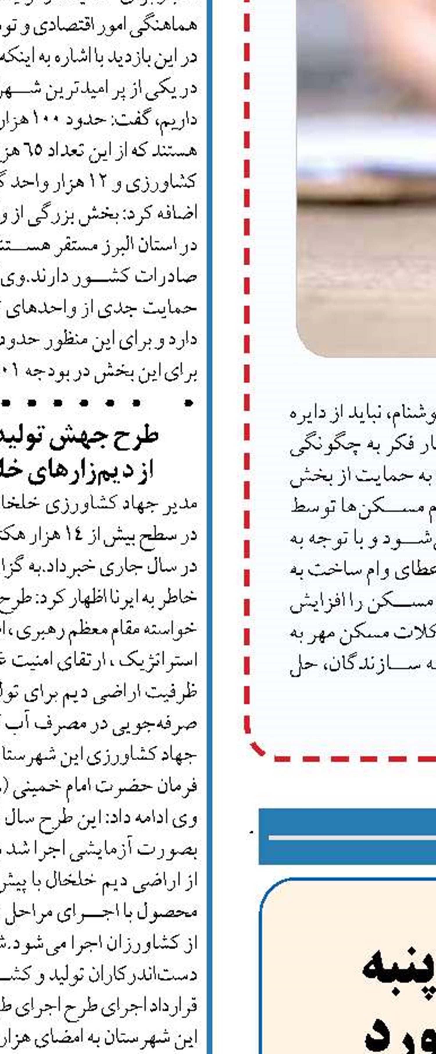  کشت و تولید  قراردادی پنبه  در اراضی کشور کلید خورد