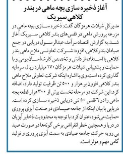 آغاز ذخیره سازی بچه ماهی در بندر کلاهی سیریک