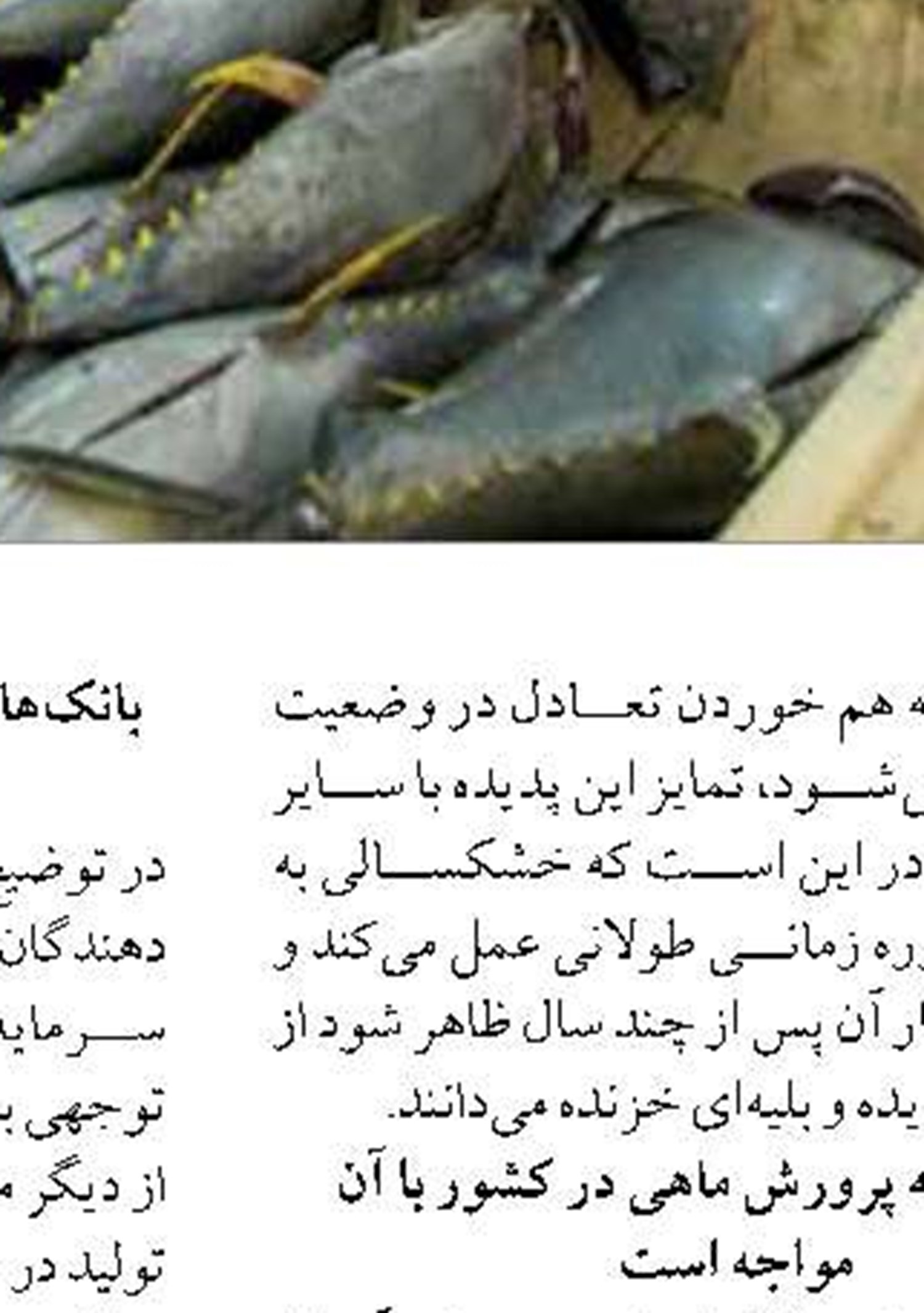 مجوز بهره‌برداری از سه پست اسکله به منطقه ویژه انرژی‌بر پارسیان واگذار شد 