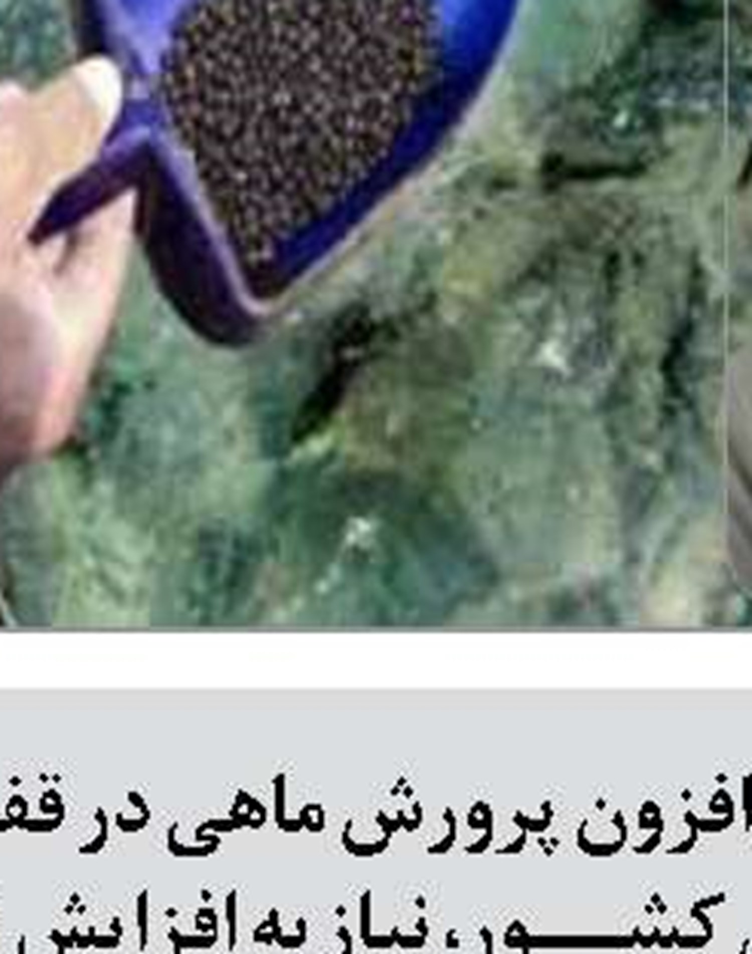  جابه جایی مسافر و گردشگر در بنادر شرق هرمزگان به مرز ۳ میلیون نفر رسید
