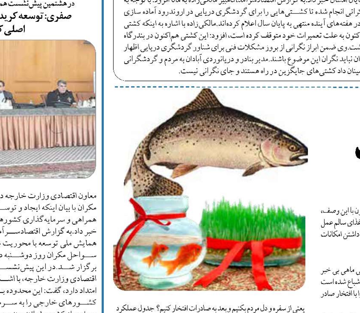 ماهی قرمز چینی سین ندارد