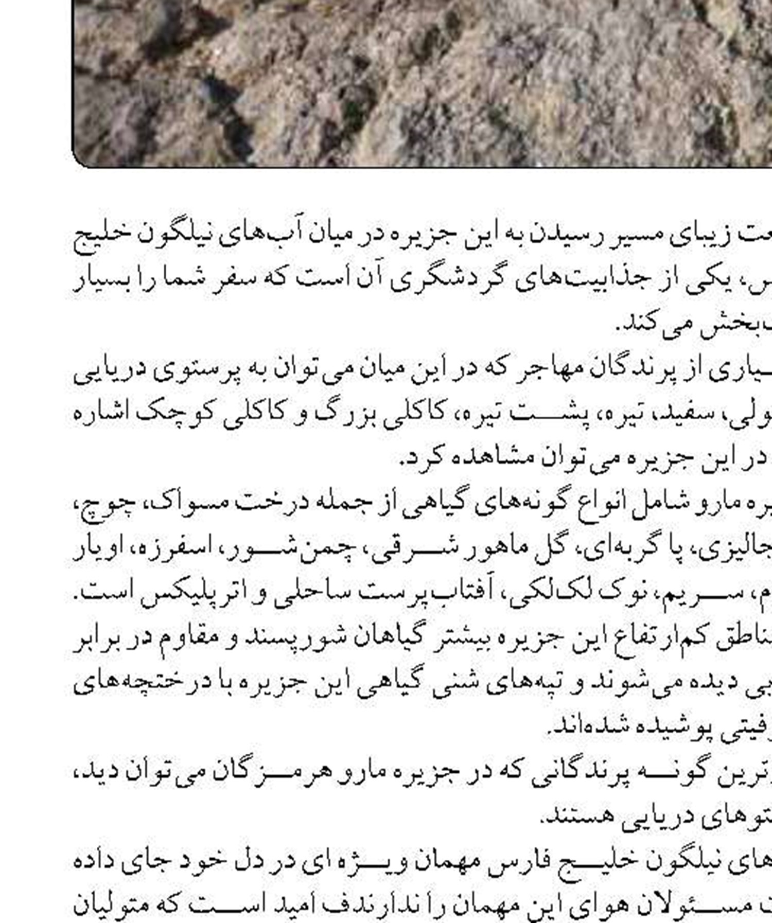 رشد ۳۶۰ درصدی حمل محمولات ترانزیتی و کریدور شمال - جنوب 