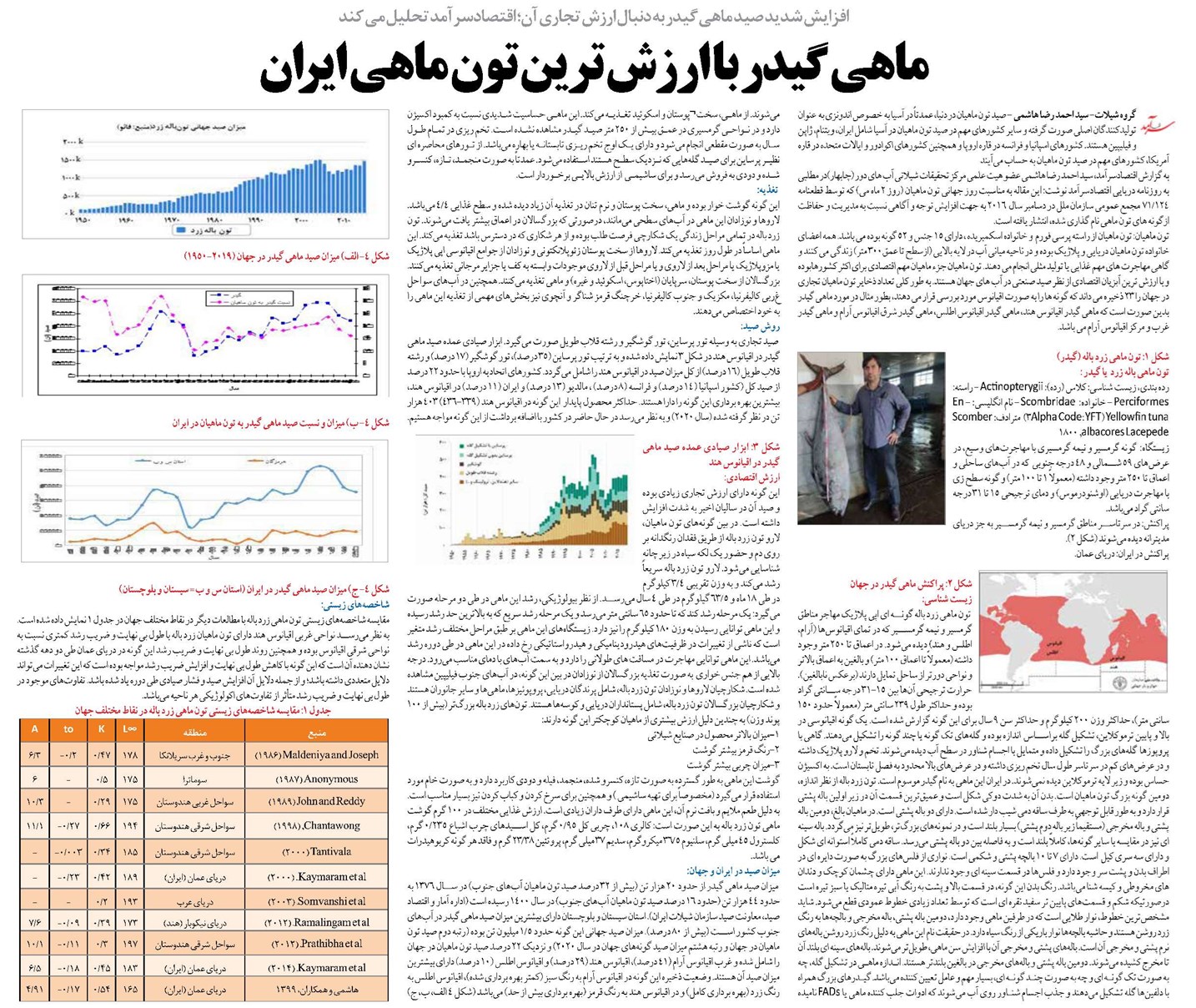 ماهی گیدر با ارزش ترین تون ماهی ایران