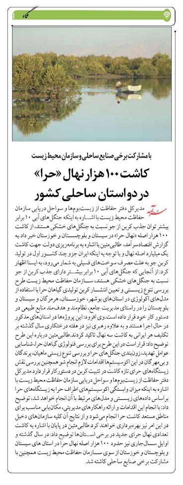 کاشت ۱۰۰ هزار نهال «حرا» در دو استان ساحلی کشور