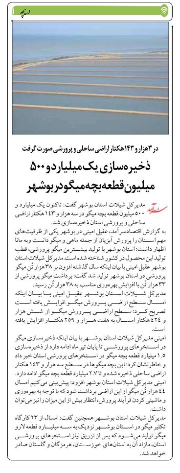 ذخیرهسازی یک میلیارد و ۵۰۰ میلیون قطعه بچه میگو در بوشهر